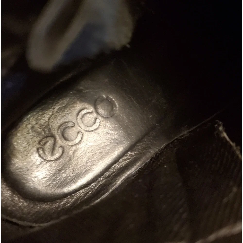 Ecco *owners are